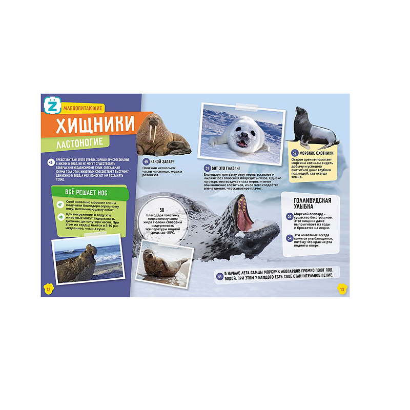 Энциклопедия в дополненной реальности Животные KidZlab 250 невероятных фактов