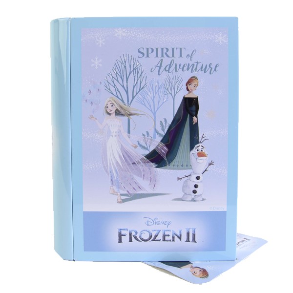 Игровой набор детской декоративной косметики Frozen Markwins для лица и ногтей в футляре книга