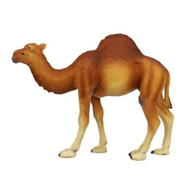 Фигурка Детское Время Animal Одногорбый верблюд породы Дромадер