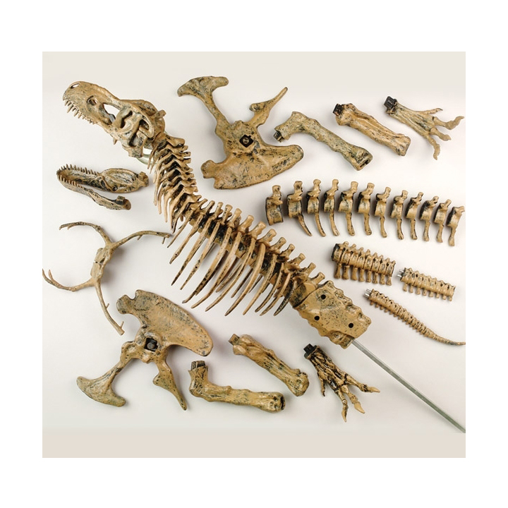 Скелет тираннозавра 91 см Edu Toys