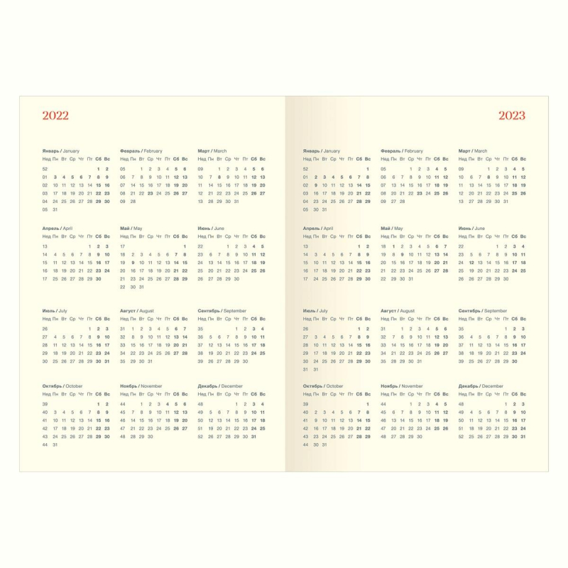 Ежедневник датированный 2022 Infolio 365days серый