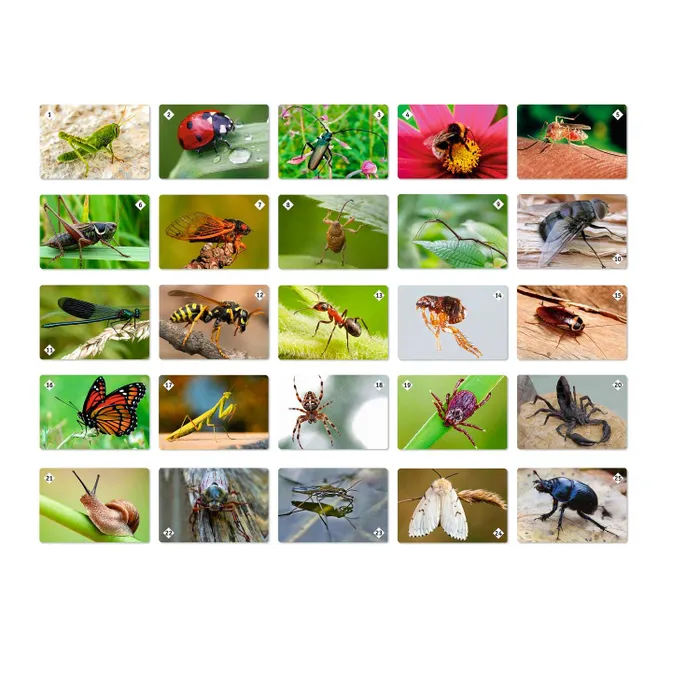 Настольная игра Нескучные игры Мемо Мир насекомых и не только 