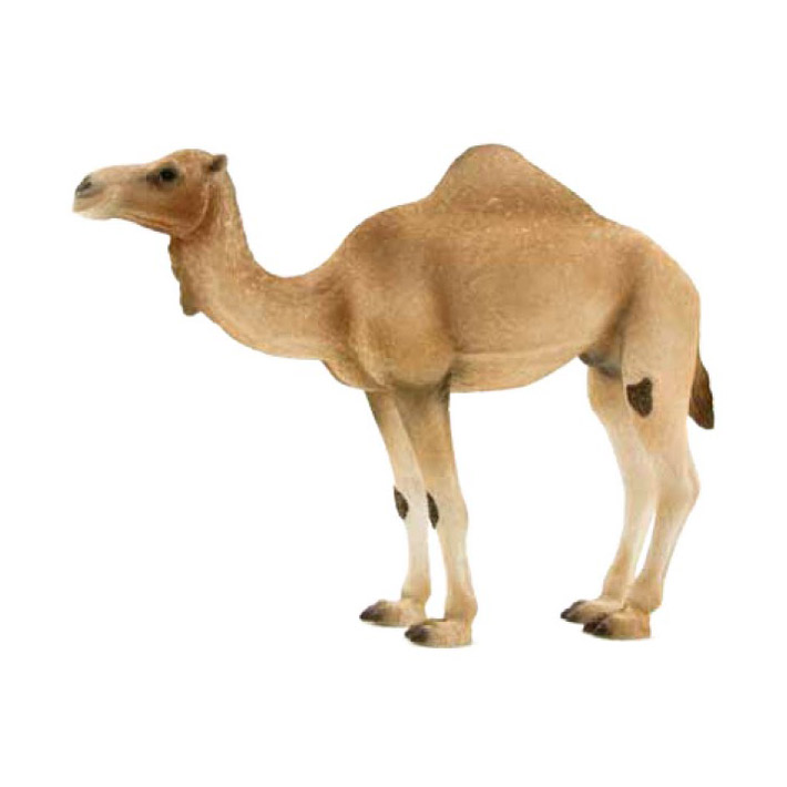 Одногорбый верблюд XL Animal Planet Mojo