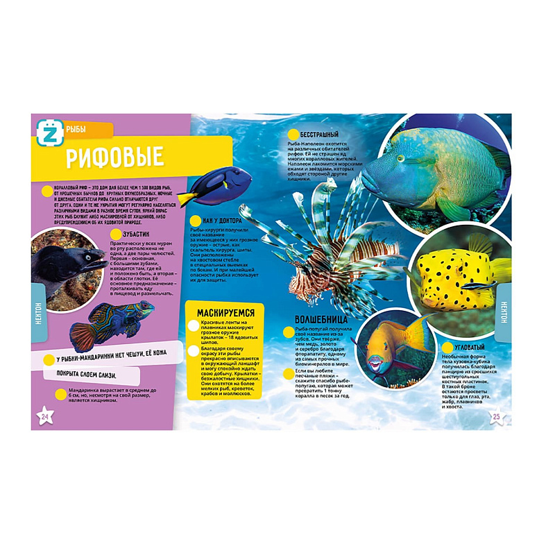 Энциклопедия в дополненной реальности Океан KidZlab 250+ невероятных фактов