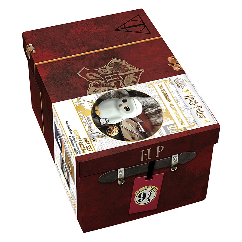 Подарочный набор Harry Potter Чемоданчик Гарри Кружка 3D 450ml + Брелок 3D + Значок ABYPCK221