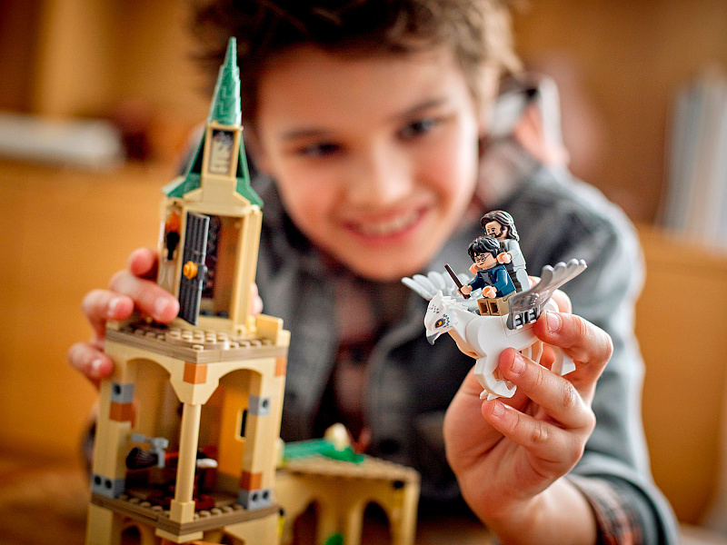 Конструктор LEGO Harry Potter Двор Хогвартса: спасение Сириуса 76401