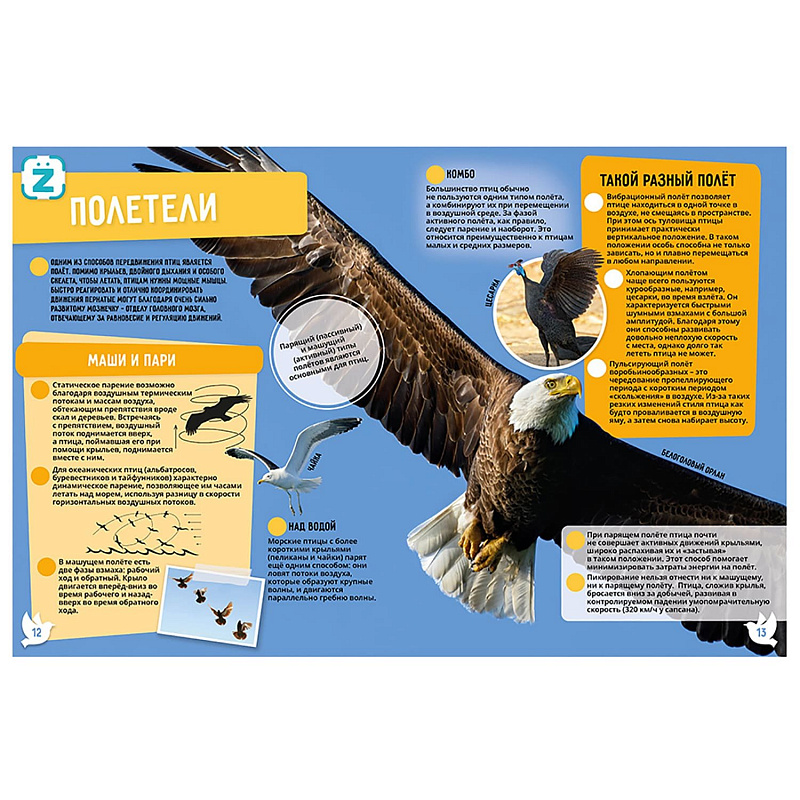 Книга Энциклопедия в дополненной реальности Птицы KidZlab 250 невероятных фактов